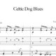 Preview-Celtic-Dog-Blues_FrancoMorone-MusicaTabsChitarraFingerstyle