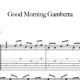 Preview-Good-Morning-Gambetta_FrancoMorone-MusicaTabsChitarraFingerstyle
