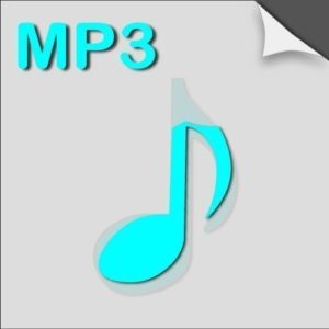 E) Mp3 audio file